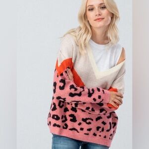Francesca’s Sybil Animal Print Color Block Pullover